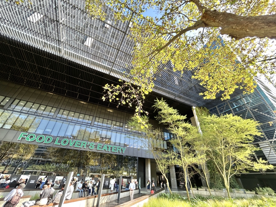 To Let Commercial Property for Rent in Cape Town City Centre Western Cape